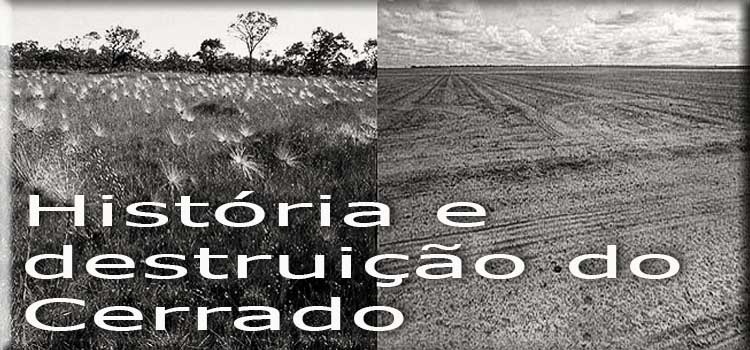 História e destruição do Cerrado.